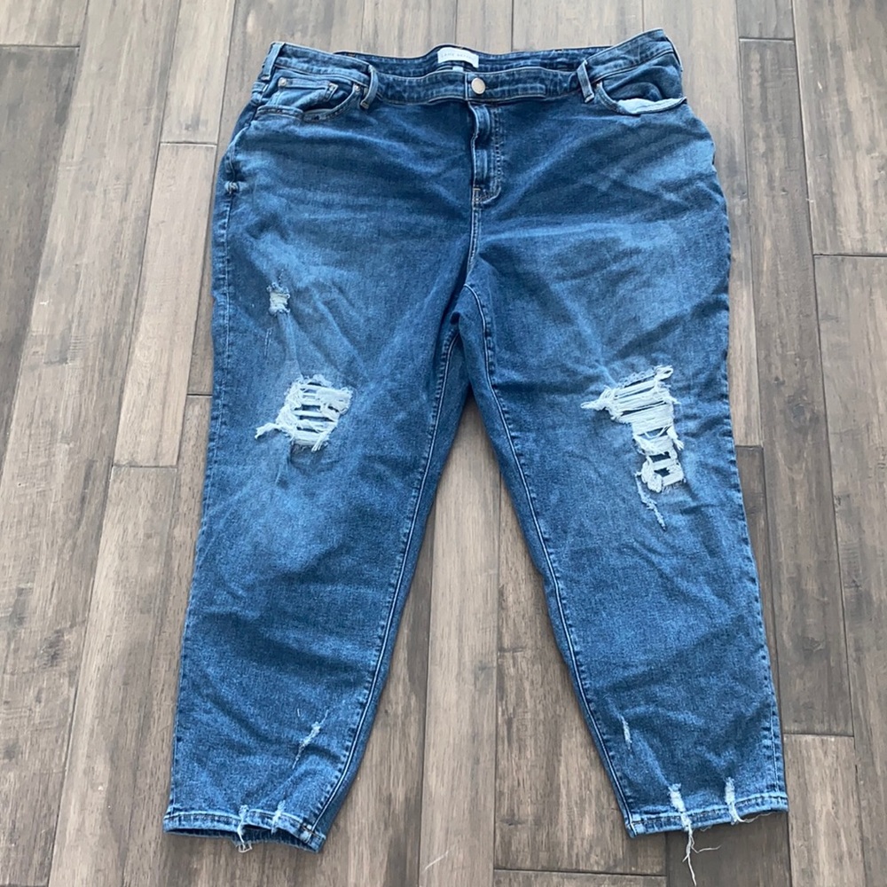 Lane Bryant Distressed Mid-Rise Boyfriend Jeans Womens Plus Sizeβ 24 Distressed